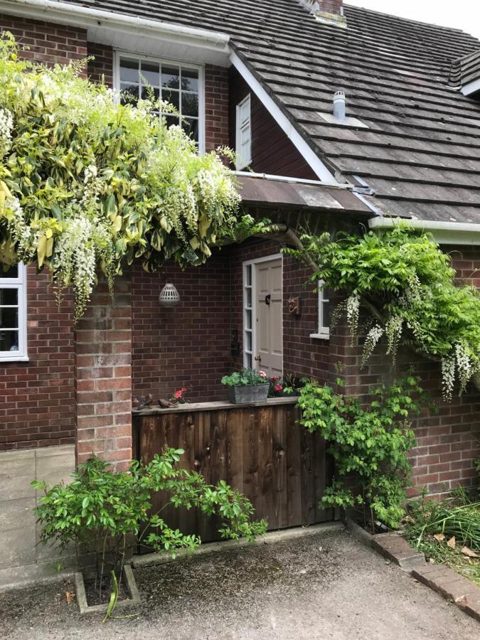 High Mead Bed and Breakfast Woodsford Esterno foto